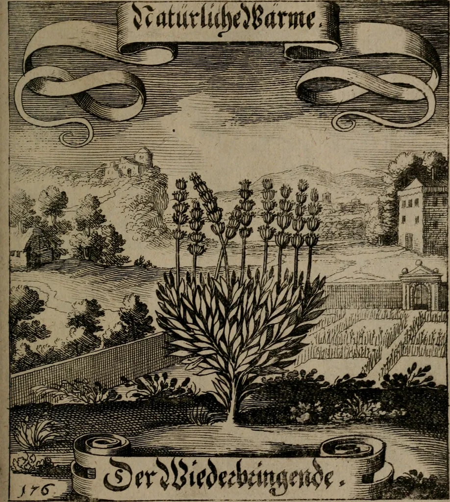 An illustration from Der Fruchtbringenden Geselschaft Nahmen, Vorhaben, Gemählde und Wörter : nach jedes Einnahme ordentlich in Kupfer gestochen, und in achtzeilige Reimgesetze verfasset, 1646, leaf 366