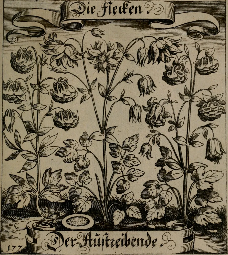 An illustration from Der Fruchtbringenden Geselschaft Nahmen, Vorhaben, Gemählde und Wörter : nach jedes Einnahme ordentlich in Kupfer gestochen, und in achtzeilige Reimgesetze verfasset, 1646, leaf 368