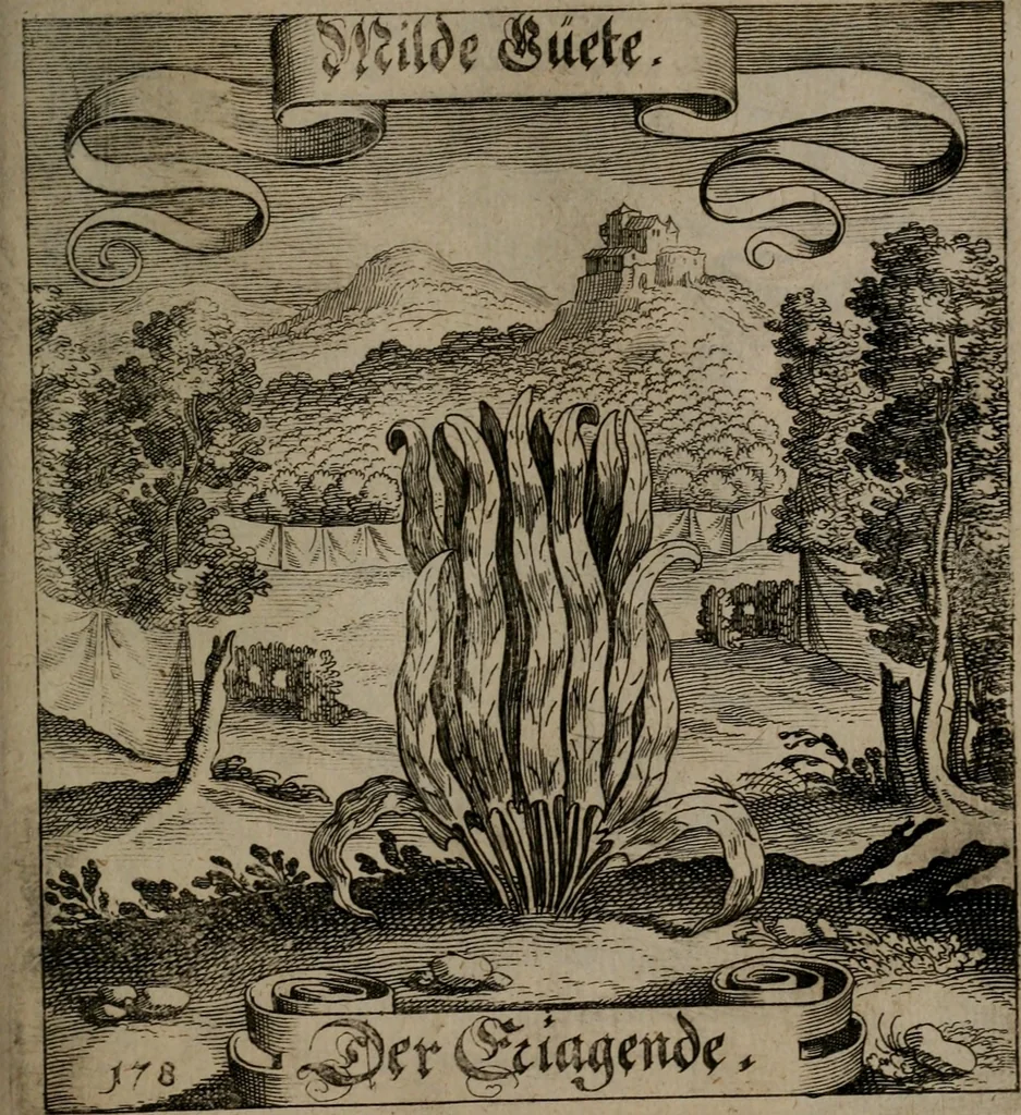 An illustration from Der Fruchtbringenden Geselschaft Nahmen, Vorhaben, Gemählde und Wörter : nach jedes Einnahme ordentlich in Kupfer gestochen, und in achtzeilige Reimgesetze verfasset, 1646, leaf 370