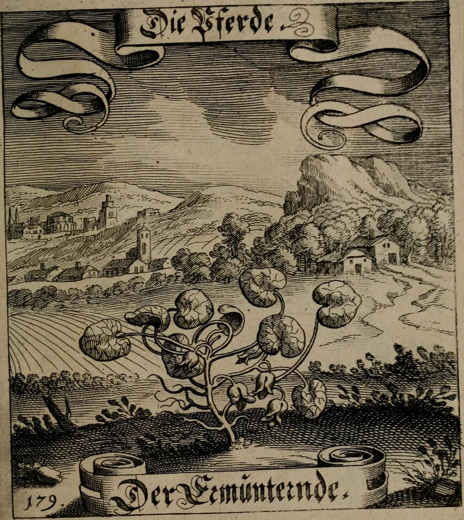 An illustration from Der Fruchtbringenden Geselschaft Nahmen, Vorhaben, Gemählde und Wörter : nach jedes Einnahme ordentlich in Kupfer gestochen, und in achtzeilige Reimgesetze verfasset, 1646, leaf 372