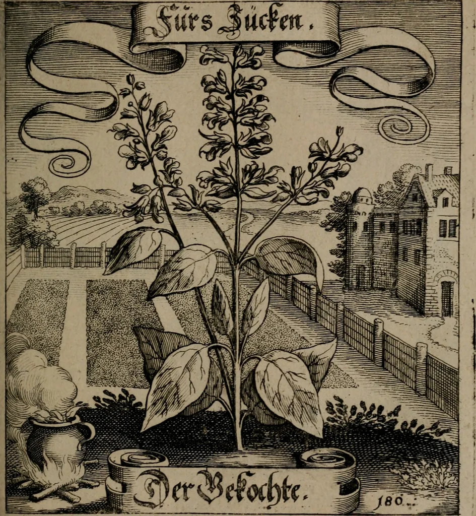 An illustration from Der Fruchtbringenden Geselschaft Nahmen, Vorhaben, Gemählde und Wörter : nach jedes Einnahme ordentlich in Kupfer gestochen, und in achtzeilige Reimgesetze verfasset, 1646, leaf 374
