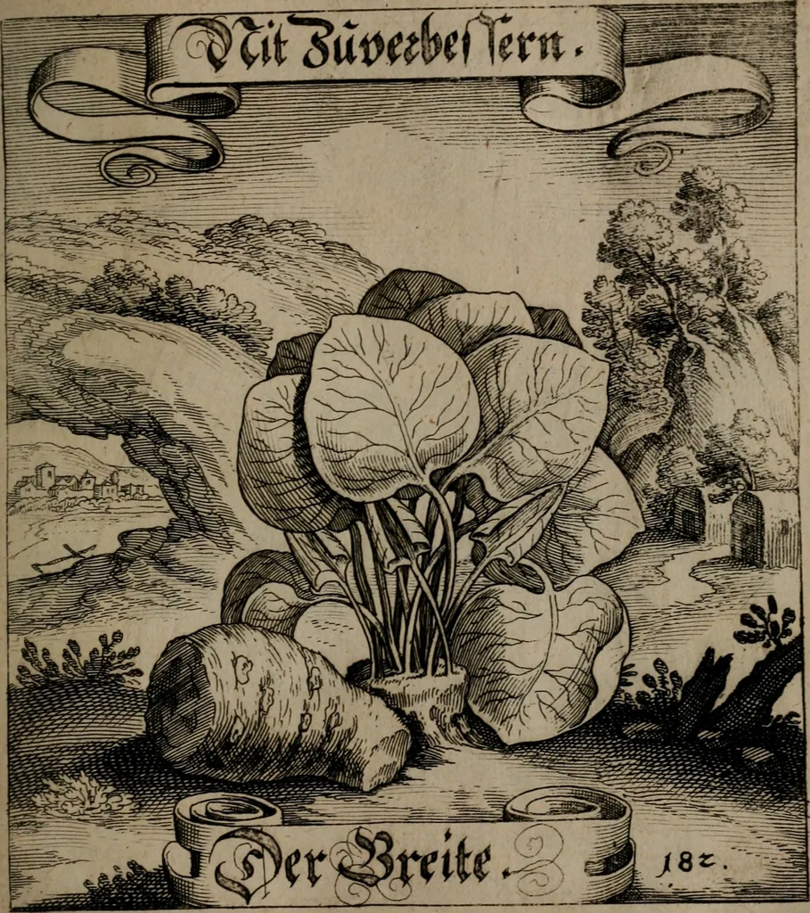 An illustration from Der Fruchtbringenden Geselschaft Nahmen, Vorhaben, Gemählde und Wörter : nach jedes Einnahme ordentlich in Kupfer gestochen, und in achtzeilige Reimgesetze verfasset, 1646, leaf 378