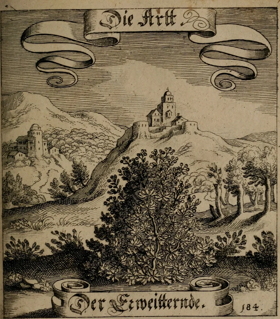 An illustration from Der Fruchtbringenden Geselschaft Nahmen, Vorhaben, Gemählde und Wörter : nach jedes Einnahme ordentlich in Kupfer gestochen, und in achtzeilige Reimgesetze verfasset, 1646, leaf 382