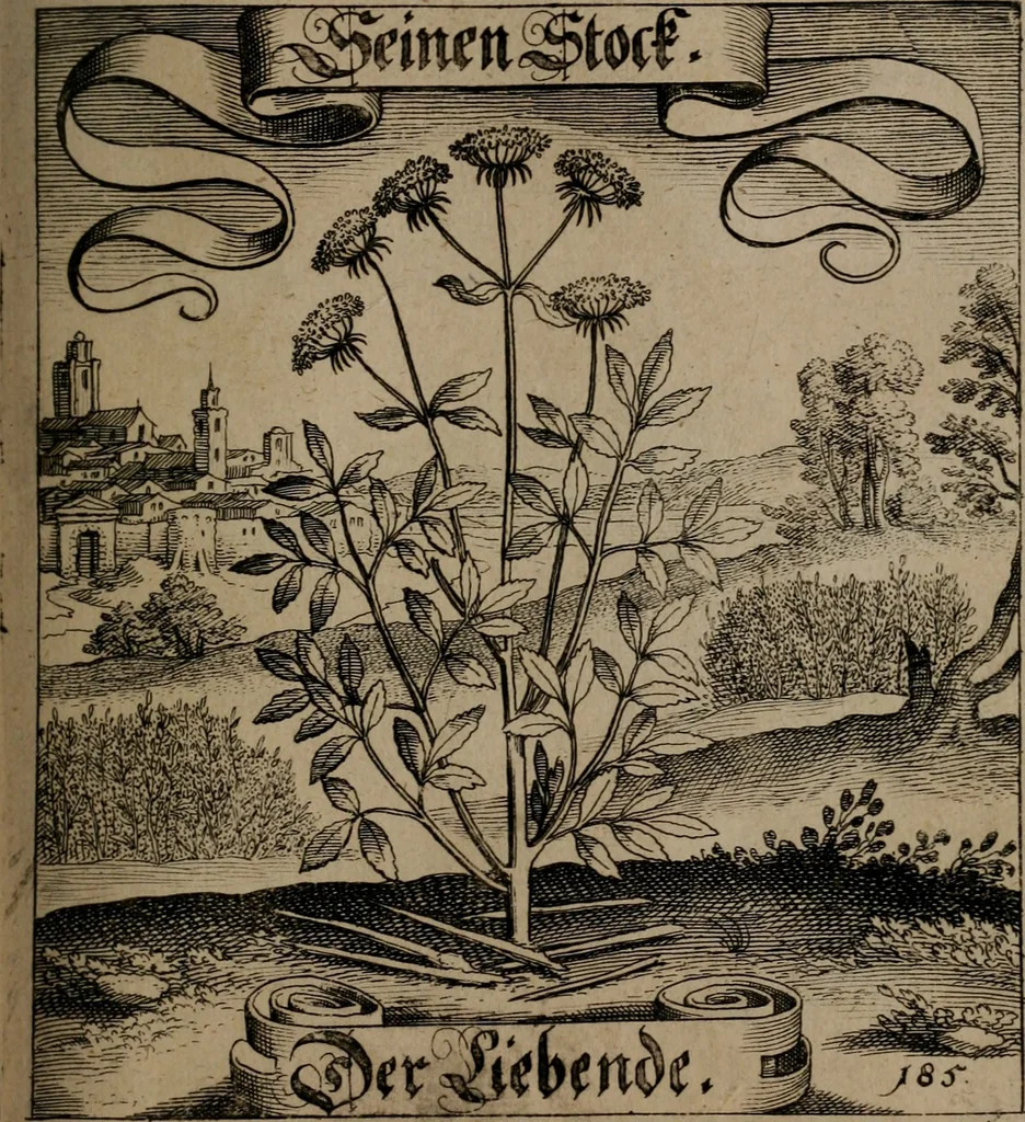 An illustration from Der Fruchtbringenden Geselschaft Nahmen, Vorhaben, Gemählde und Wörter : nach jedes Einnahme ordentlich in Kupfer gestochen, und in achtzeilige Reimgesetze verfasset, 1646, leaf 384