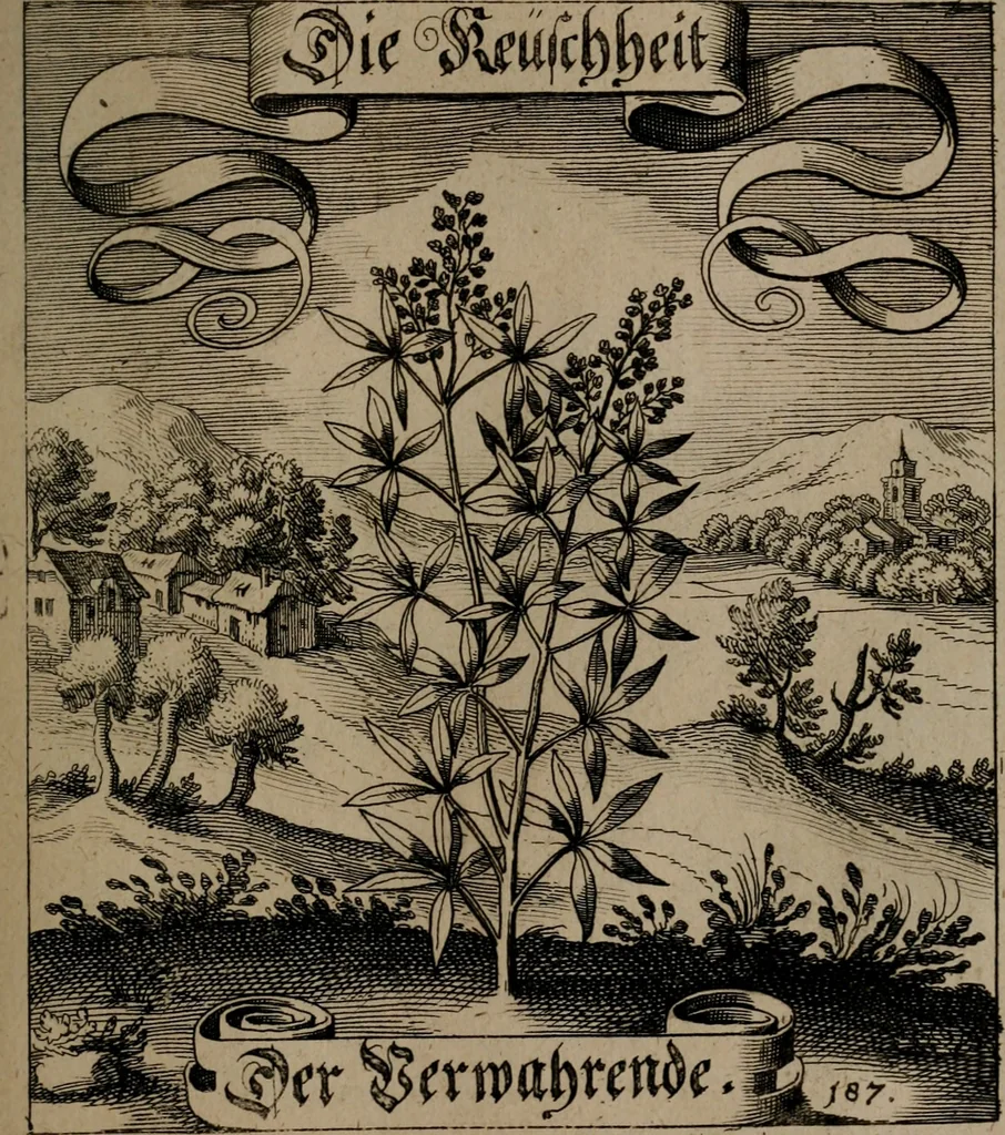 An illustration from Der Fruchtbringenden Geselschaft Nahmen, Vorhaben, Gemählde und Wörter : nach jedes Einnahme ordentlich in Kupfer gestochen, und in achtzeilige Reimgesetze verfasset, 1646, leaf 388