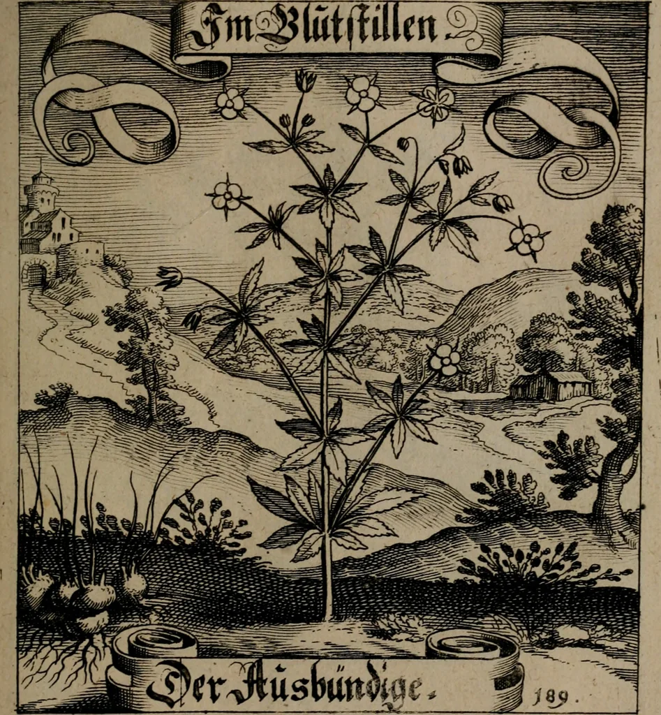 An illustration from Der Fruchtbringenden Geselschaft Nahmen, Vorhaben, Gemählde und Wörter : nach jedes Einnahme ordentlich in Kupfer gestochen, und in achtzeilige Reimgesetze verfasset, 1646, leaf 392