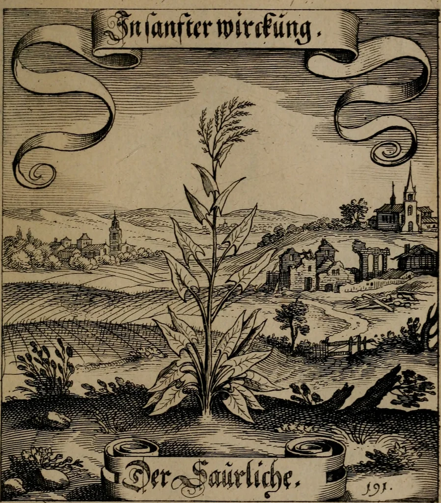 An illustration from Der Fruchtbringenden Geselschaft Nahmen, Vorhaben, Gemählde und Wörter : nach jedes Einnahme ordentlich in Kupfer gestochen, und in achtzeilige Reimgesetze verfasset, 1646, leaf 396