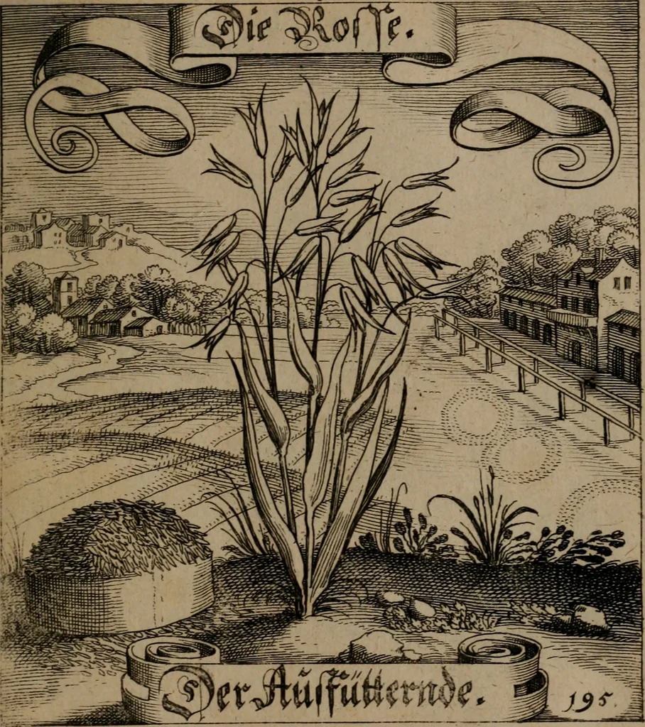 An illustration from Der Fruchtbringenden Geselschaft Nahmen, Vorhaben, Gemählde und Wörter : nach jedes Einnahme ordentlich in Kupfer gestochen, und in achtzeilige Reimgesetze verfasset, 1646, leaf 404