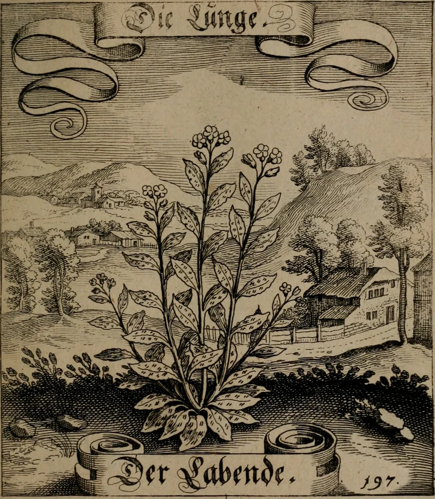 An illustration from Der Fruchtbringenden Geselschaft Nahmen, Vorhaben, Gemählde und Wörter : nach jedes Einnahme ordentlich in Kupfer gestochen, und in achtzeilige Reimgesetze verfasset, 1646, leaf 408