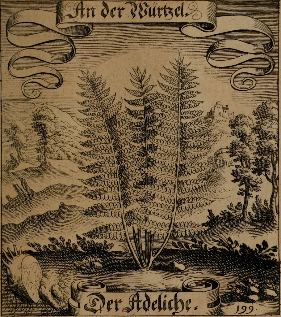 An illustration from Der Fruchtbringenden Geselschaft Nahmen, Vorhaben, Gemählde und Wörter : nach jedes Einnahme ordentlich in Kupfer gestochen, und in achtzeilige Reimgesetze verfasset, 1646, leaf 416