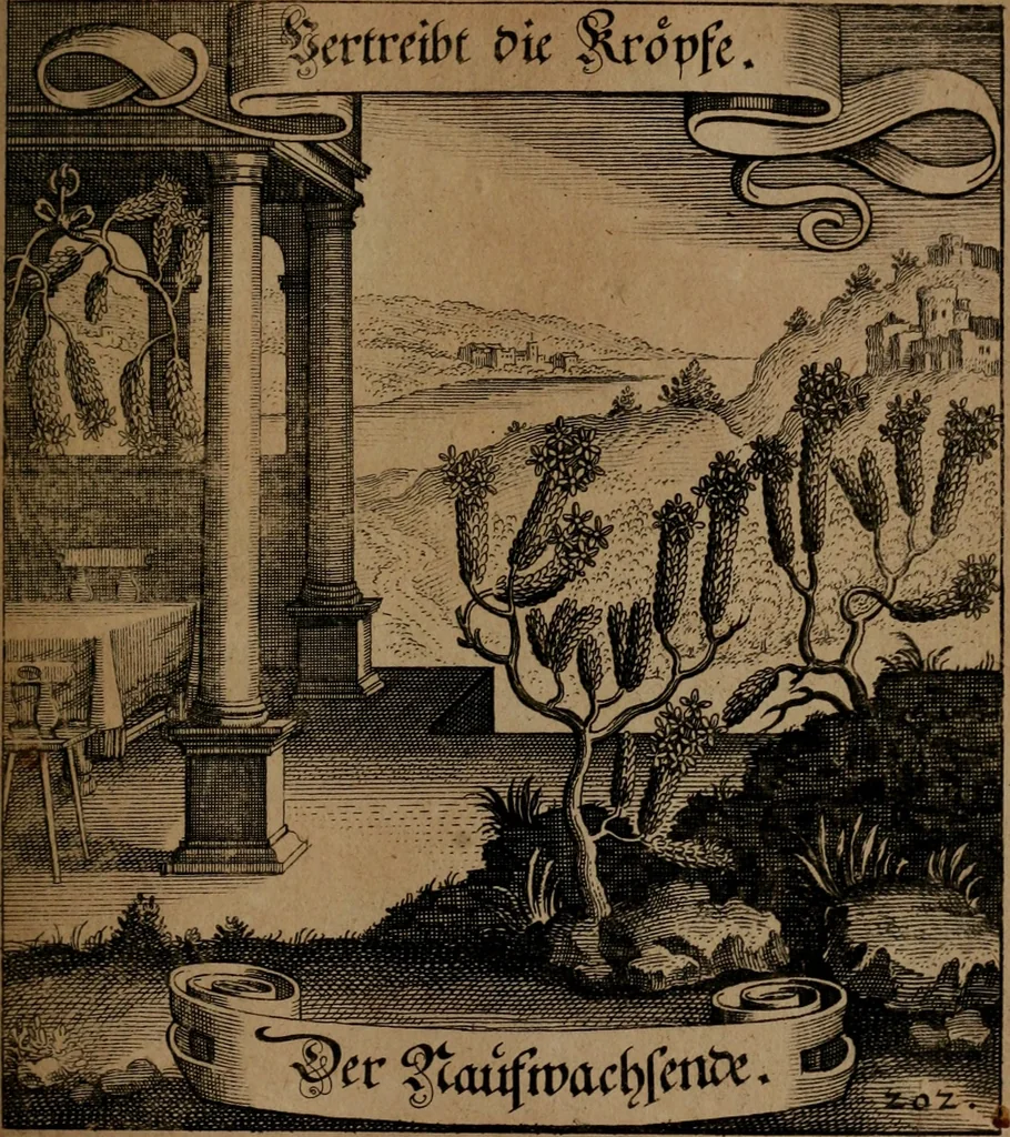 An illustration from Der Fruchtbringenden Geselschaft Nahmen, Vorhaben, Gemählde und Wörter : nach jedes Einnahme ordentlich in Kupfer gestochen, und in achtzeilige Reimgesetze verfasset, 1646, leaf 422
