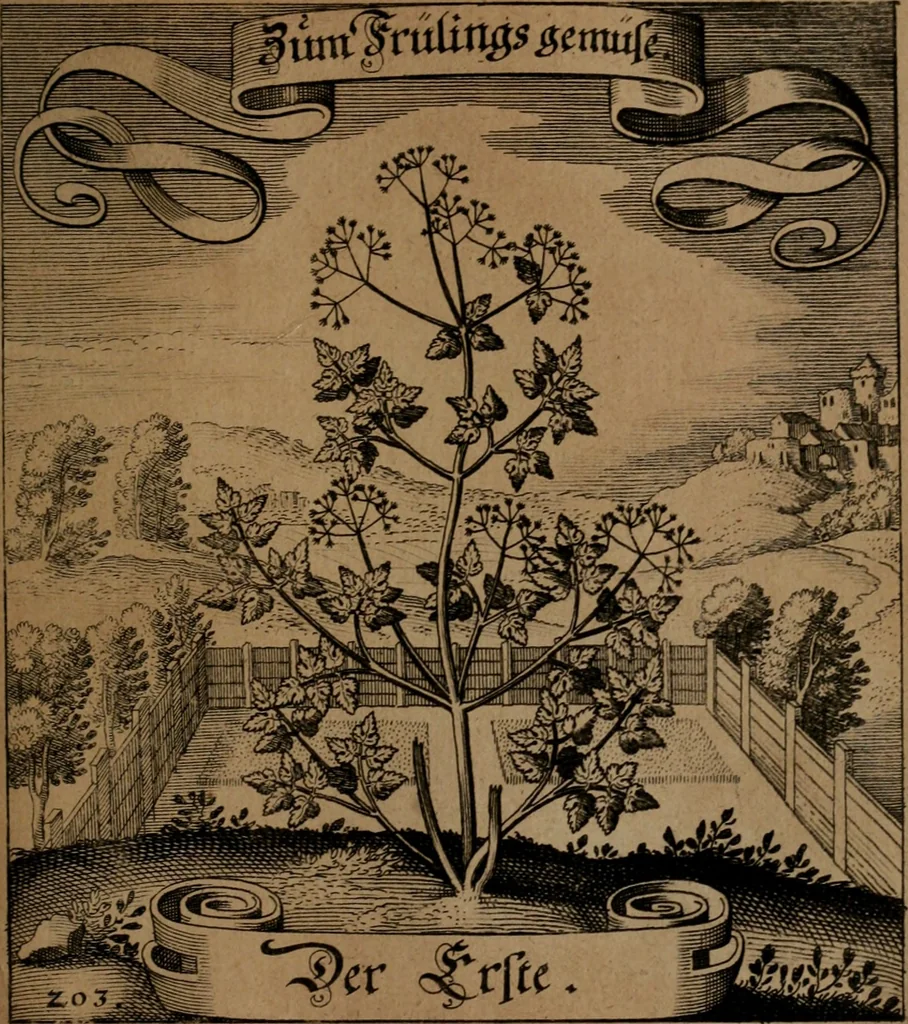 An illustration from Der Fruchtbringenden Geselschaft Nahmen, Vorhaben, Gemählde und Wörter : nach jedes Einnahme ordentlich in Kupfer gestochen, und in achtzeilige Reimgesetze verfasset, 1646, leaf 424