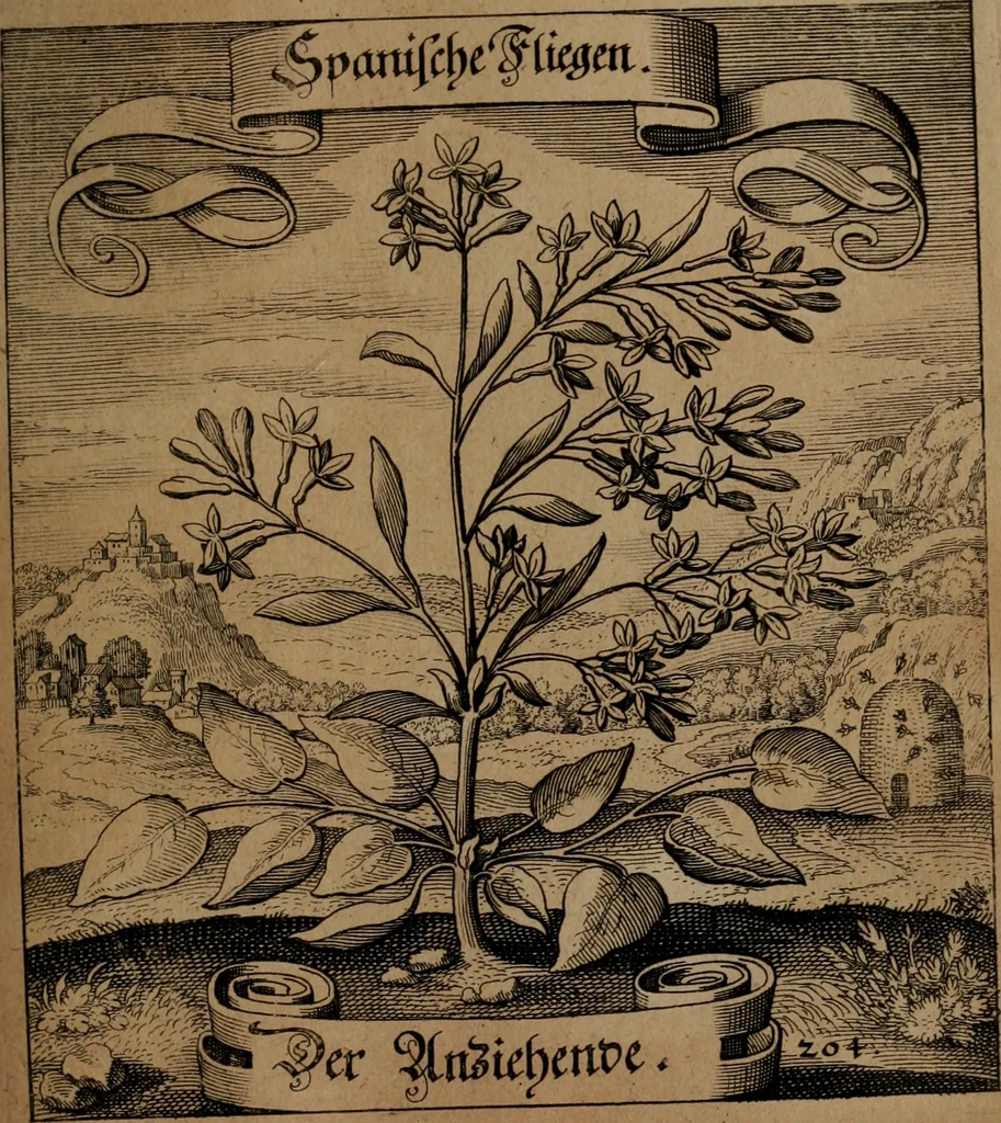 An illustration from Der Fruchtbringenden Geselschaft Nahmen, Vorhaben, Gemählde und Wörter : nach jedes Einnahme ordentlich in Kupfer gestochen, und in achtzeilige Reimgesetze verfasset, 1646, leaf 426