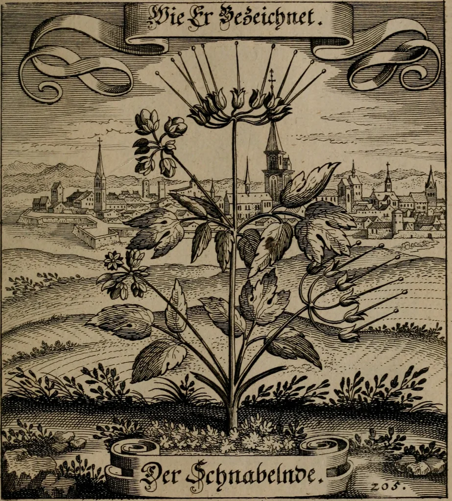 An illustration from Der Fruchtbringenden Geselschaft Nahmen, Vorhaben, Gemählde und Wörter : nach jedes Einnahme ordentlich in Kupfer gestochen, und in achtzeilige Reimgesetze verfasset, 1646, leaf 428