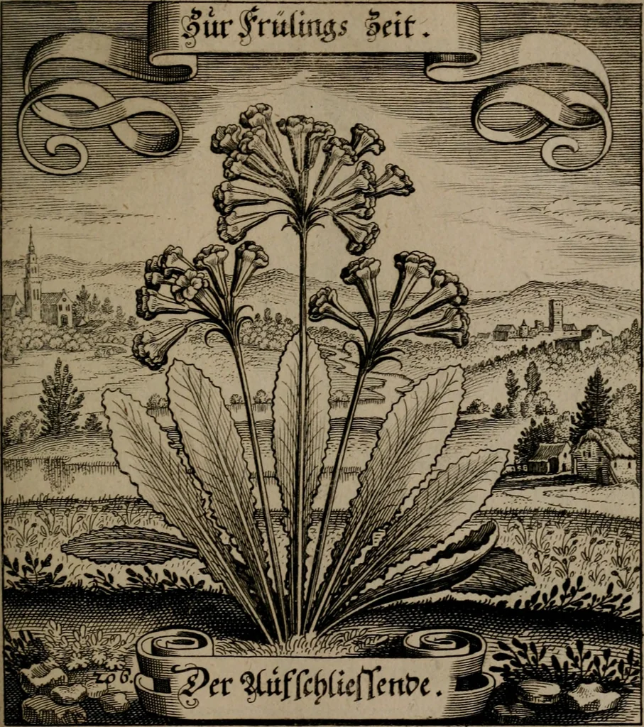An illustration from Der Fruchtbringenden Geselschaft Nahmen, Vorhaben, Gemählde und Wörter : nach jedes Einnahme ordentlich in Kupfer gestochen, und in achtzeilige Reimgesetze verfasset, 1646, leaf 430