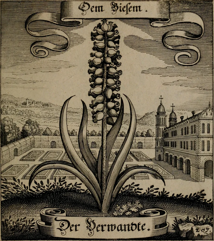 An illustration from Der Fruchtbringenden Geselschaft Nahmen, Vorhaben, Gemählde und Wörter : nach jedes Einnahme ordentlich in Kupfer gestochen, und in achtzeilige Reimgesetze verfasset, 1646, leaf 432