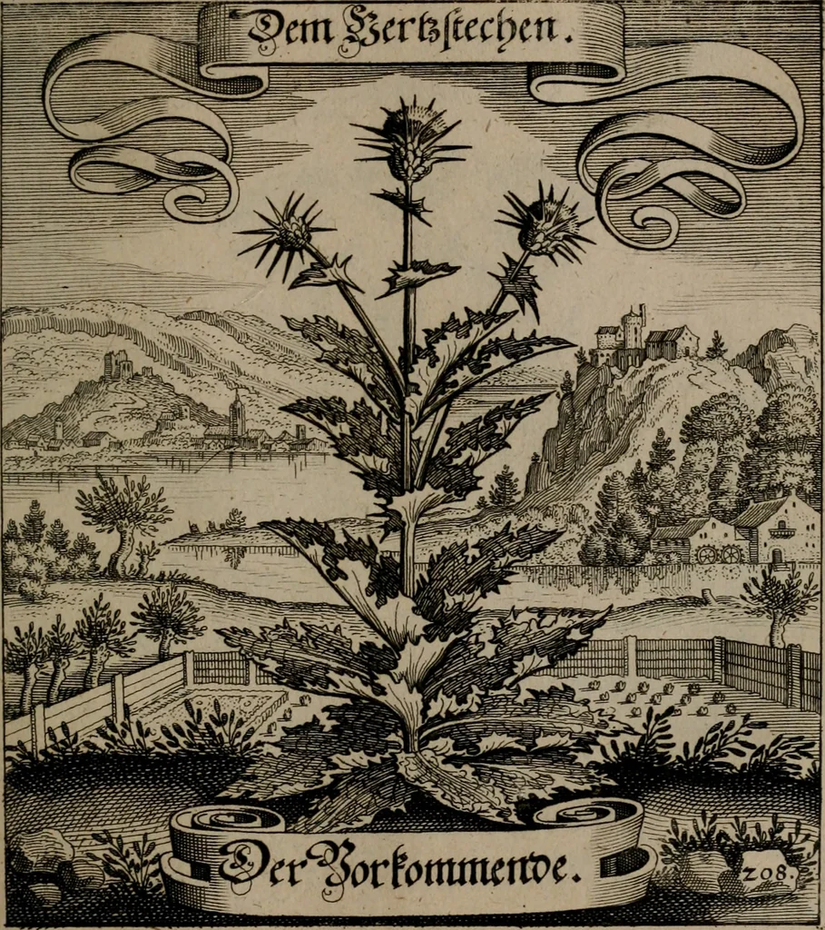 An illustration from Der Fruchtbringenden Geselschaft Nahmen, Vorhaben, Gemählde und Wörter : nach jedes Einnahme ordentlich in Kupfer gestochen, und in achtzeilige Reimgesetze verfasset, 1646, leaf 434