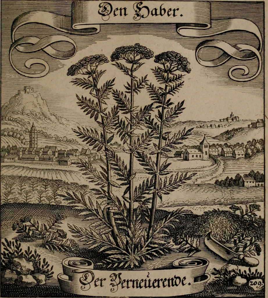 An illustration from Der Fruchtbringenden Geselschaft Nahmen, Vorhaben, Gemählde und Wörter : nach jedes Einnahme ordentlich in Kupfer gestochen, und in achtzeilige Reimgesetze verfasset, 1646, leaf 436