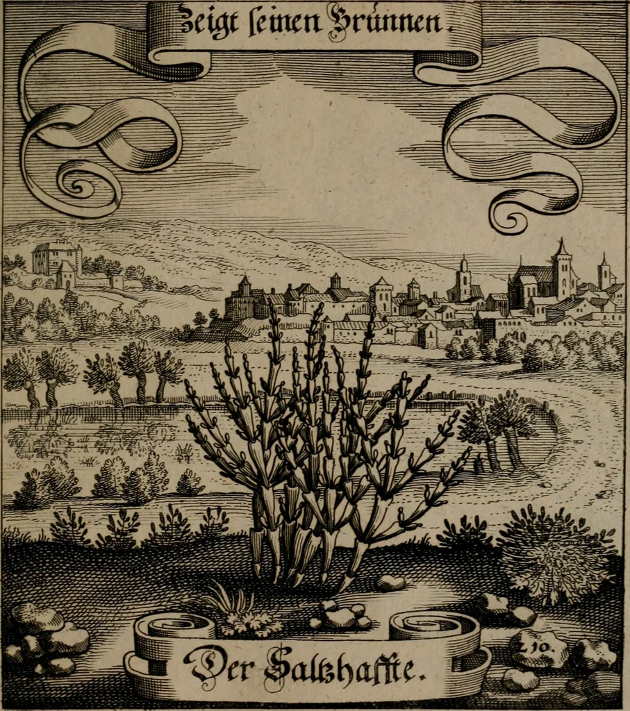 An illustration from Der Fruchtbringenden Geselschaft Nahmen, Vorhaben, Gemählde und Wörter : nach jedes Einnahme ordentlich in Kupfer gestochen, und in achtzeilige Reimgesetze verfasset, 1646, leaf 438