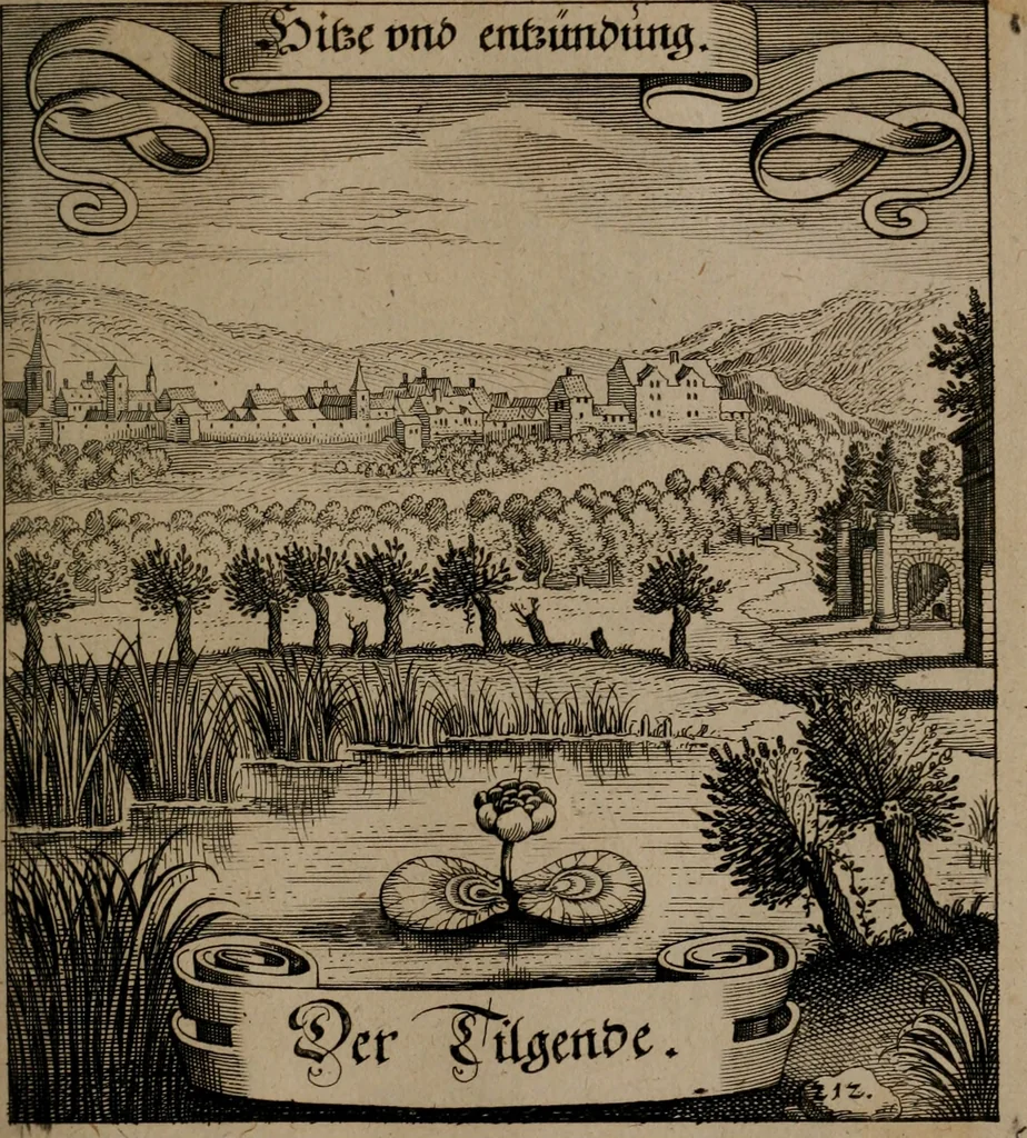 An illustration from Der Fruchtbringenden Geselschaft Nahmen, Vorhaben, Gemählde und Wörter : nach jedes Einnahme ordentlich in Kupfer gestochen, und in achtzeilige Reimgesetze verfasset, 1646, leaf 442
