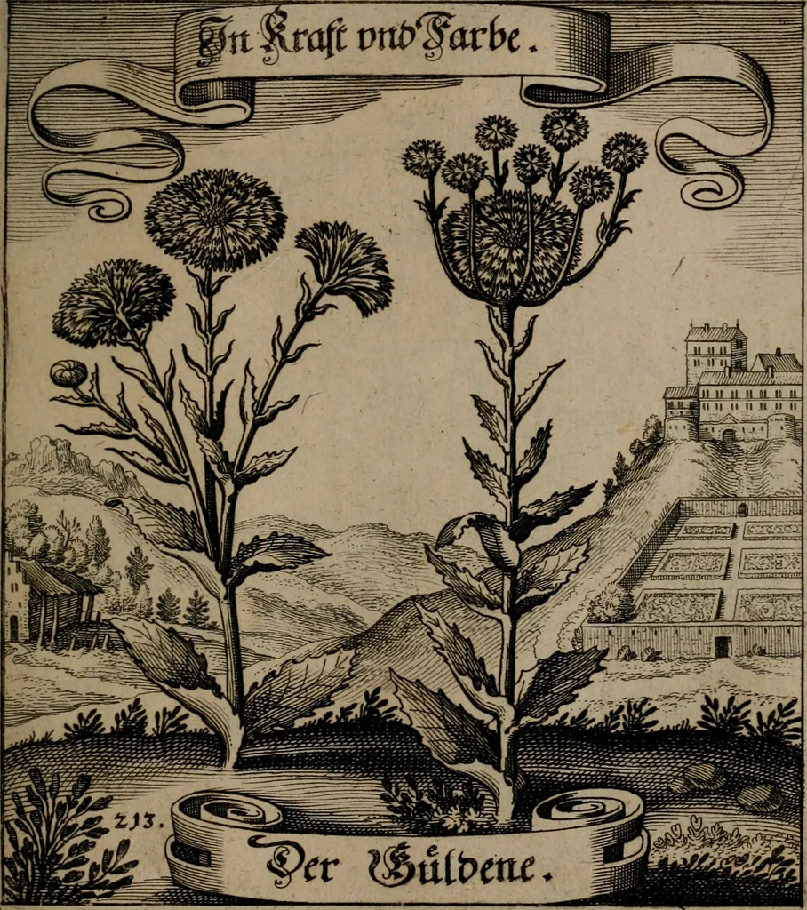 An illustration from Der Fruchtbringenden Geselschaft Nahmen, Vorhaben, Gemählde und Wörter : nach jedes Einnahme ordentlich in Kupfer gestochen, und in achtzeilige Reimgesetze verfasset, 1646, leaf 444