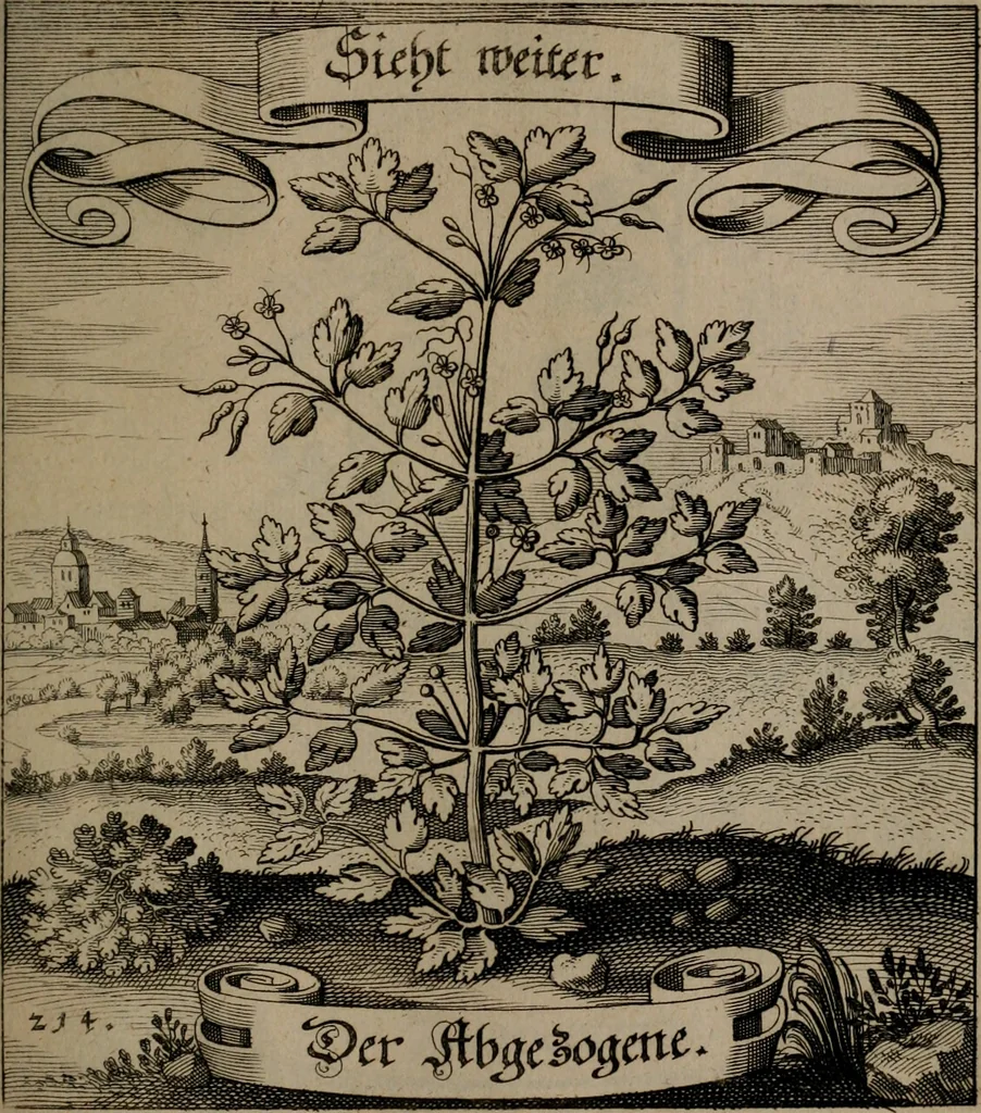 An illustration from Der Fruchtbringenden Geselschaft Nahmen, Vorhaben, Gemählde und Wörter : nach jedes Einnahme ordentlich in Kupfer gestochen, und in achtzeilige Reimgesetze verfasset, 1646, leaf 446