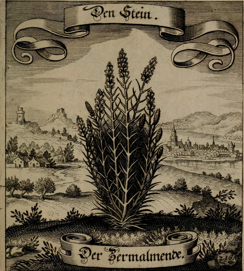 An illustration from Der Fruchtbringenden Geselschaft Nahmen, Vorhaben, Gemählde und Wörter : nach jedes Einnahme ordentlich in Kupfer gestochen, und in achtzeilige Reimgesetze verfasset, 1646, leaf 450
