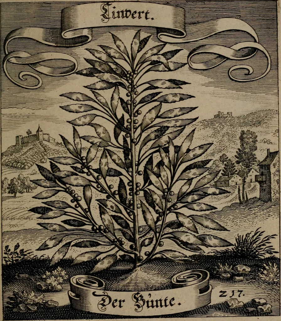 An illustration from Der Fruchtbringenden Geselschaft Nahmen, Vorhaben, Gemählde und Wörter : nach jedes Einnahme ordentlich in Kupfer gestochen, und in achtzeilige Reimgesetze verfasset, 1646, leaf 452