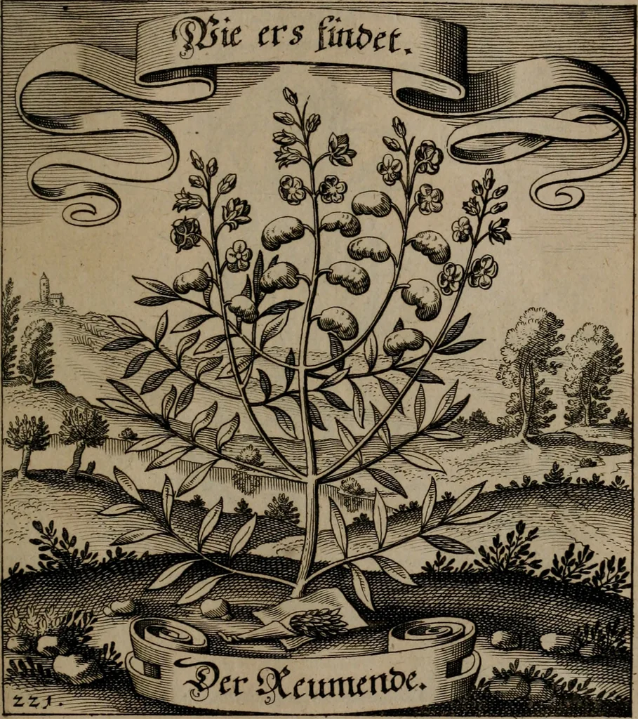 An illustration from Der Fruchtbringenden Geselschaft Nahmen, Vorhaben, Gemählde und Wörter : nach jedes Einnahme ordentlich in Kupfer gestochen, und in achtzeilige Reimgesetze verfasset, 1646, leaf 460