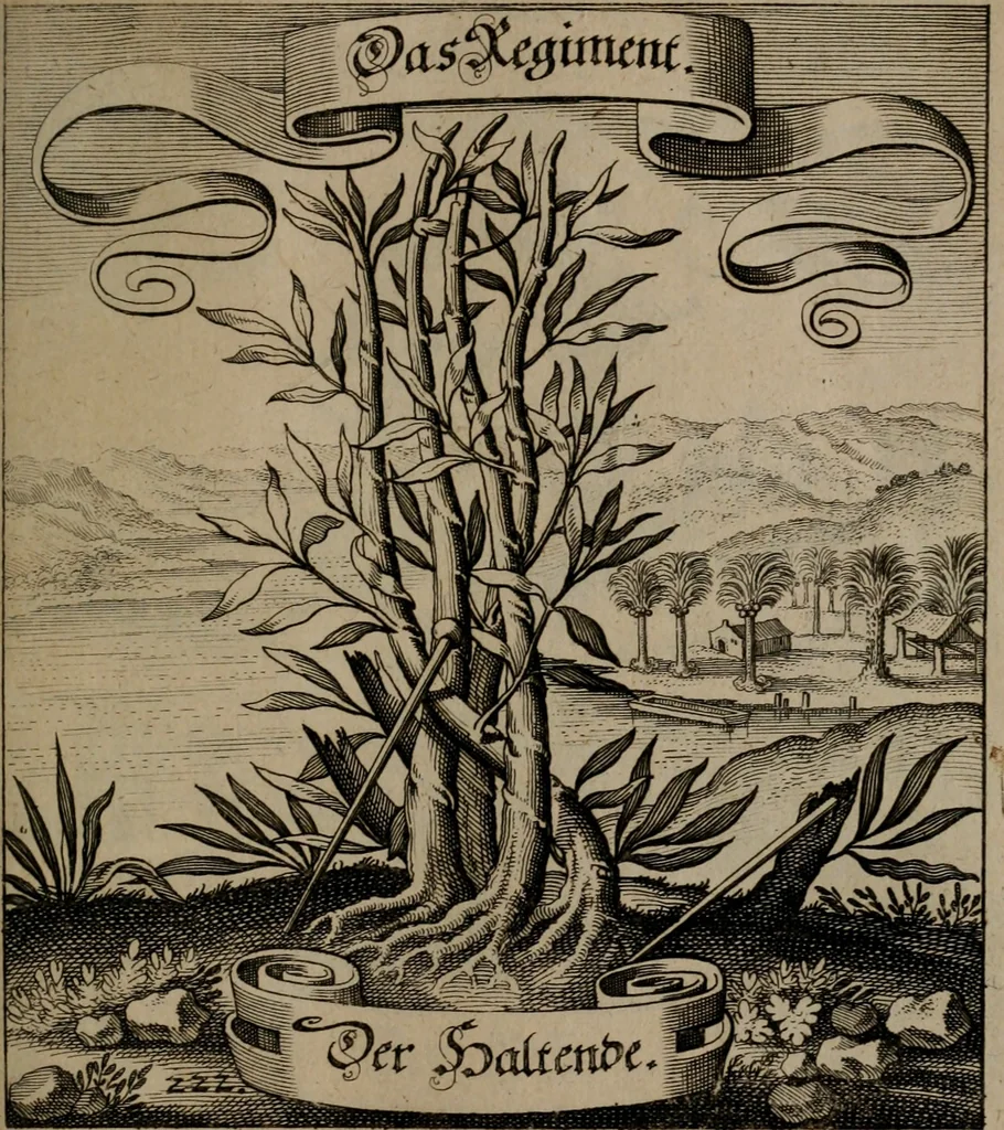 An illustration from Der Fruchtbringenden Geselschaft Nahmen, Vorhaben, Gemählde und Wörter : nach jedes Einnahme ordentlich in Kupfer gestochen, und in achtzeilige Reimgesetze verfasset, 1646, leaf 462