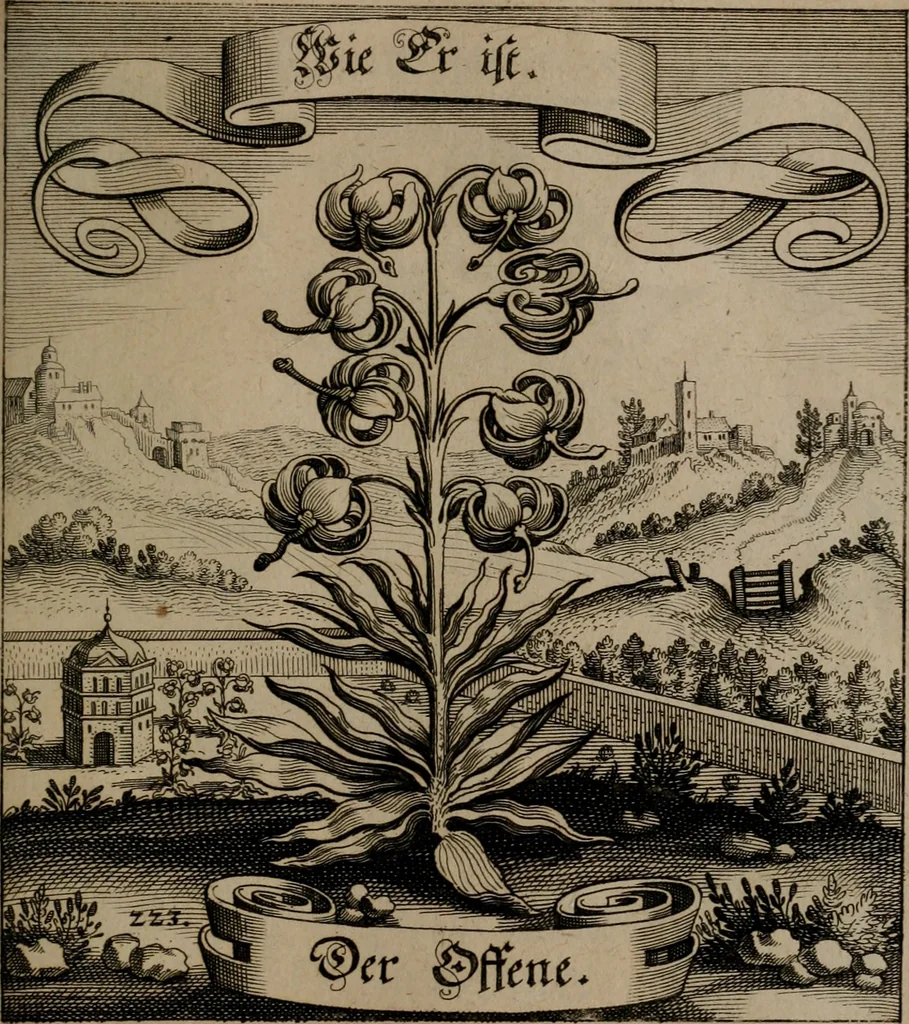 An illustration from Der Fruchtbringenden Geselschaft Nahmen, Vorhaben, Gemählde und Wörter : nach jedes Einnahme ordentlich in Kupfer gestochen, und in achtzeilige Reimgesetze verfasset, 1646, leaf 464