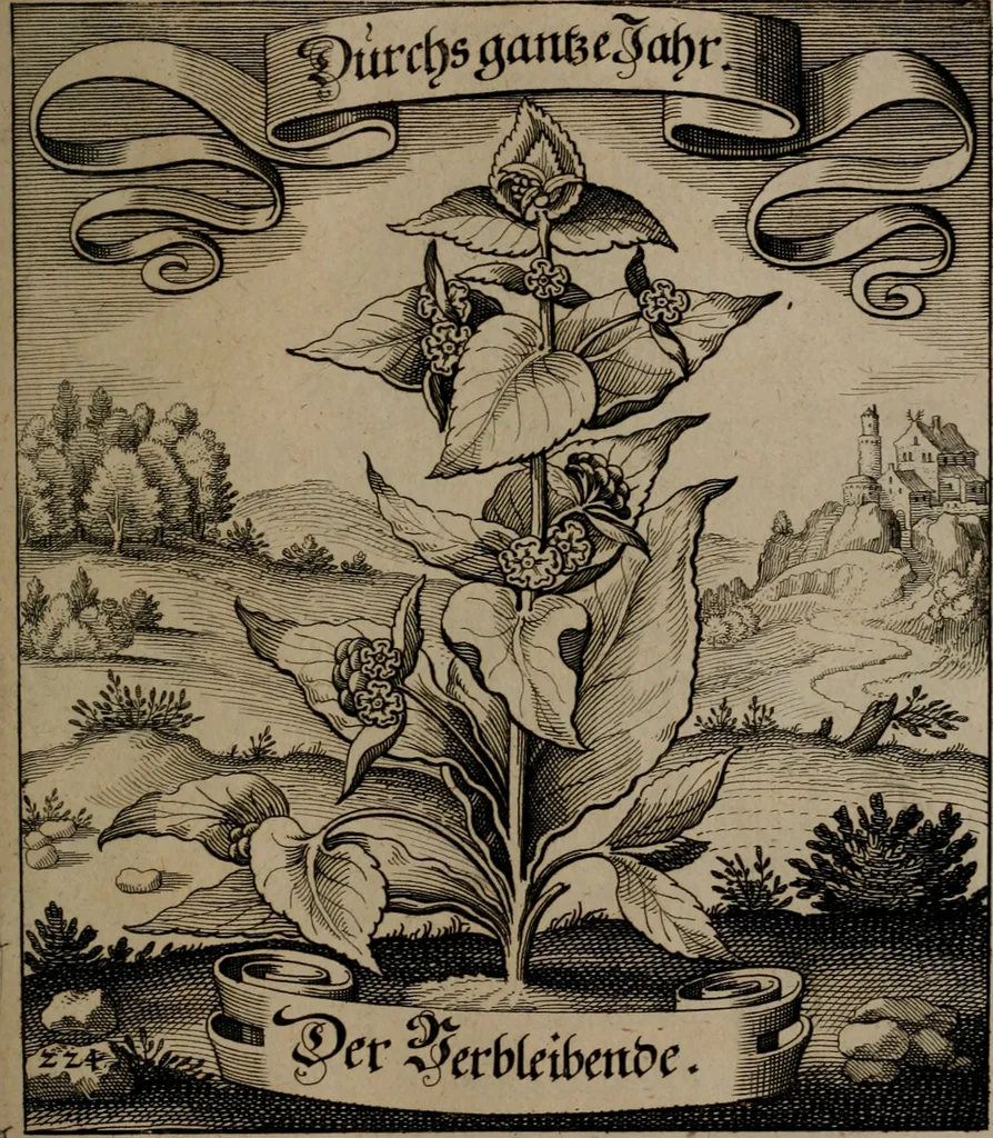 An illustration from Der Fruchtbringenden Geselschaft Nahmen, Vorhaben, Gemählde und Wörter : nach jedes Einnahme ordentlich in Kupfer gestochen, und in achtzeilige Reimgesetze verfasset, 1646, leaf 466