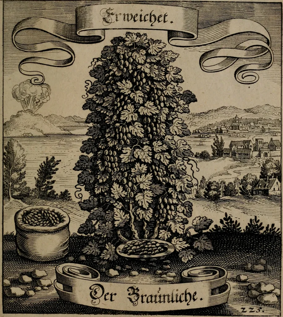 An illustration from Der Fruchtbringenden Geselschaft Nahmen, Vorhaben, Gemählde und Wörter : nach jedes Einnahme ordentlich in Kupfer gestochen, und in achtzeilige Reimgesetze verfasset, 1646, leaf 468