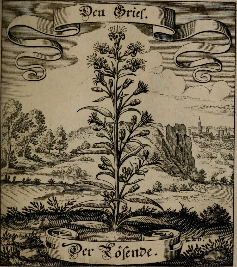 An illustration from Der Fruchtbringenden Geselschaft Nahmen, Vorhaben, Gemählde und Wörter : nach jedes Einnahme ordentlich in Kupfer gestochen, und in achtzeilige Reimgesetze verfasset, 1646, leaf 470
