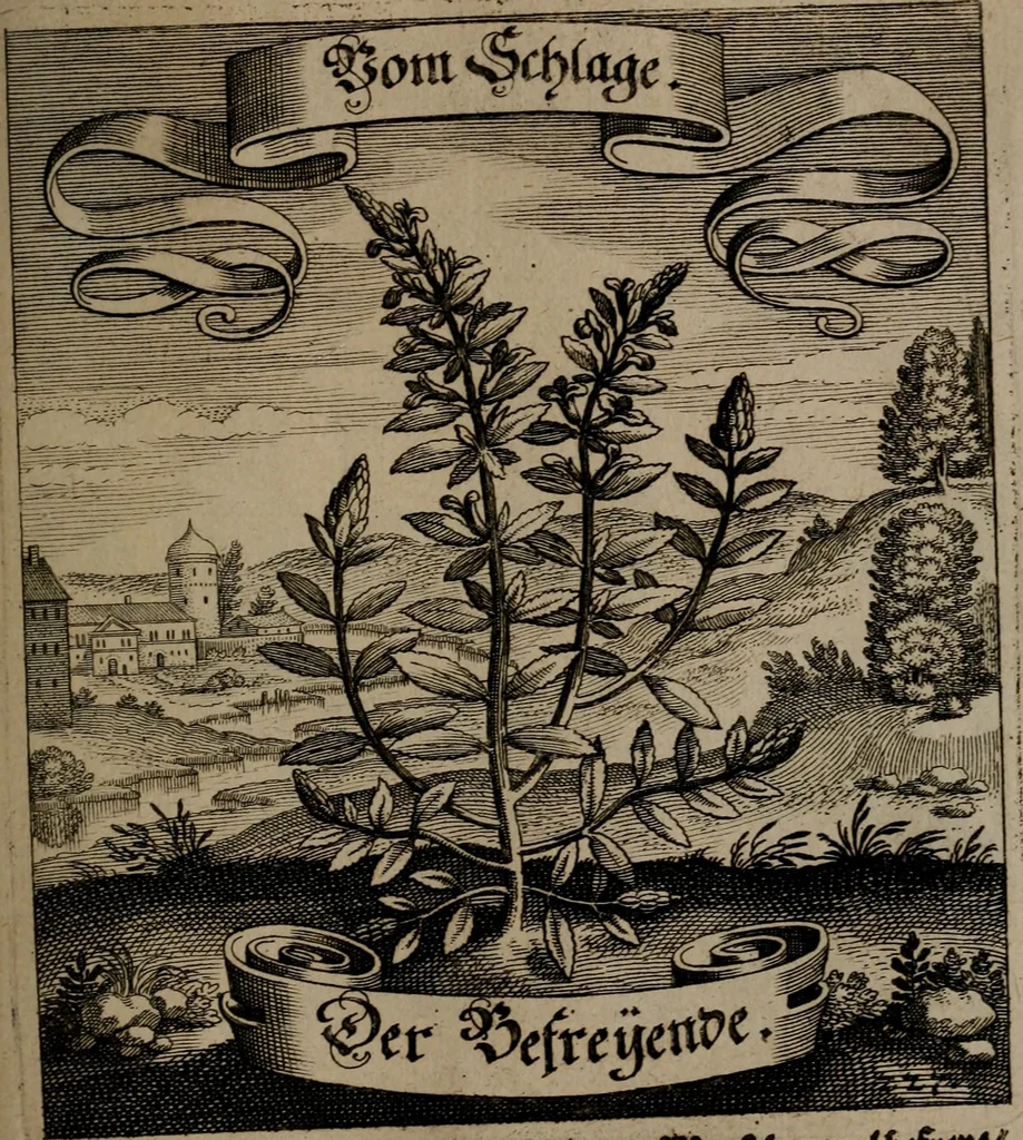 An illustration from Der Fruchtbringenden Geselschaft Nahmen, Vorhaben, Gemählde und Wörter : nach jedes Einnahme ordentlich in Kupfer gestochen, und in achtzeilige Reimgesetze verfasset, 1646, leaf 472