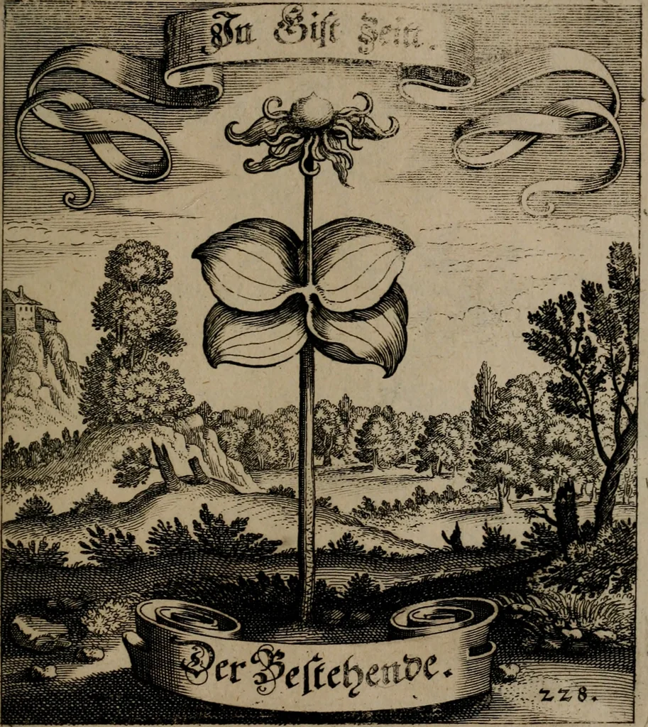 An illustration from Der Fruchtbringenden Geselschaft Nahmen, Vorhaben, Gemählde und Wörter : nach jedes Einnahme ordentlich in Kupfer gestochen, und in achtzeilige Reimgesetze verfasset, 1646, leaf 474