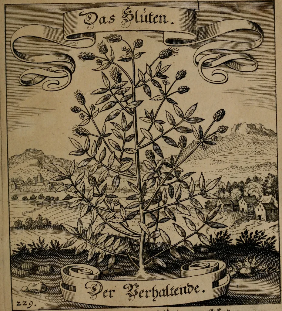 An illustration from Der Fruchtbringenden Geselschaft Nahmen, Vorhaben, Gemählde und Wörter : nach jedes Einnahme ordentlich in Kupfer gestochen, und in achtzeilige Reimgesetze verfasset, 1646, leaf 476