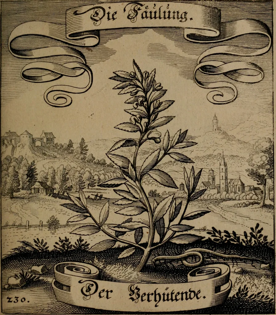 An illustration from Der Fruchtbringenden Geselschaft Nahmen, Vorhaben, Gemählde und Wörter : nach jedes Einnahme ordentlich in Kupfer gestochen, und in achtzeilige Reimgesetze verfasset, 1646, leaf 478