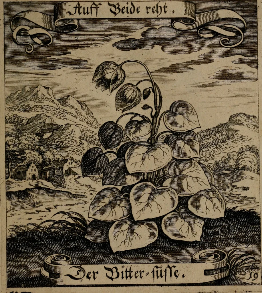 An illustration from Der Fruchtbringenden Geselschaft Nahmen, Vorhaben, Gemählde und Wörter : nach jedes Einnahme ordentlich in Kupfer gestochen, und in achtzeilige Reimgesetze verfasset, 1646, leaf 48
