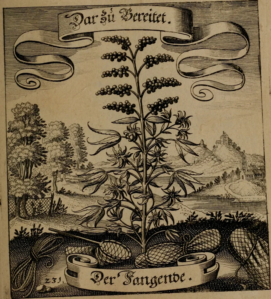 An illustration from Der Fruchtbringenden Geselschaft Nahmen, Vorhaben, Gemählde und Wörter : nach jedes Einnahme ordentlich in Kupfer gestochen, und in achtzeilige Reimgesetze verfasset, 1646, leaf 480