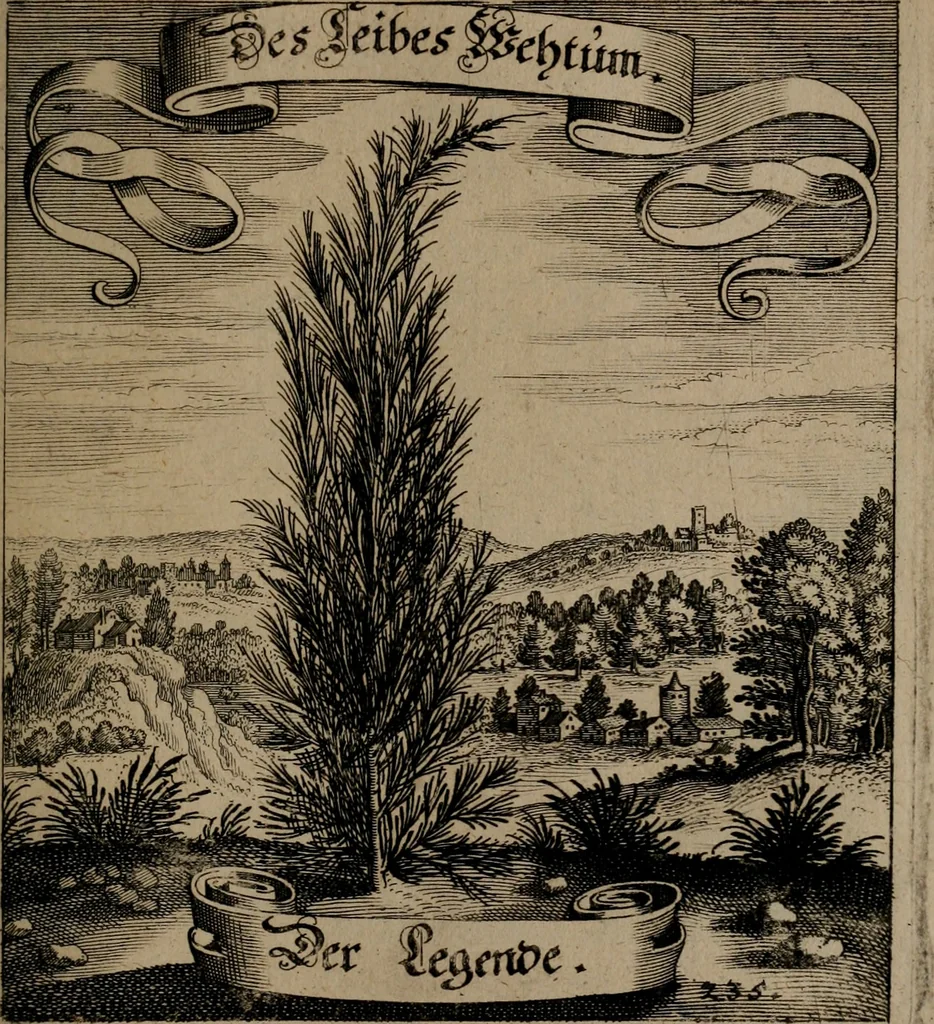 An illustration from Der Fruchtbringenden Geselschaft Nahmen, Vorhaben, Gemählde und Wörter : nach jedes Einnahme ordentlich in Kupfer gestochen, und in achtzeilige Reimgesetze verfasset, 1646, leaf 488
