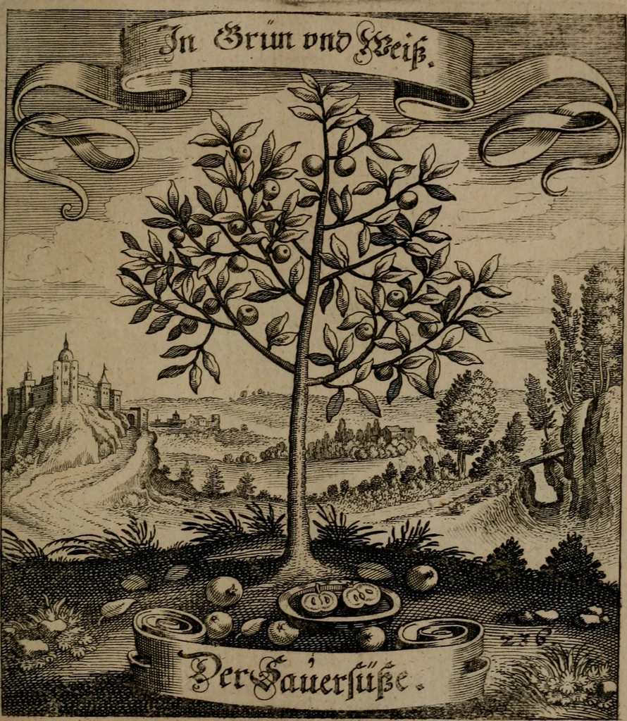 An illustration from Der Fruchtbringenden Geselschaft Nahmen, Vorhaben, Gemählde und Wörter : nach jedes Einnahme ordentlich in Kupfer gestochen, und in achtzeilige Reimgesetze verfasset, 1646, leaf 490