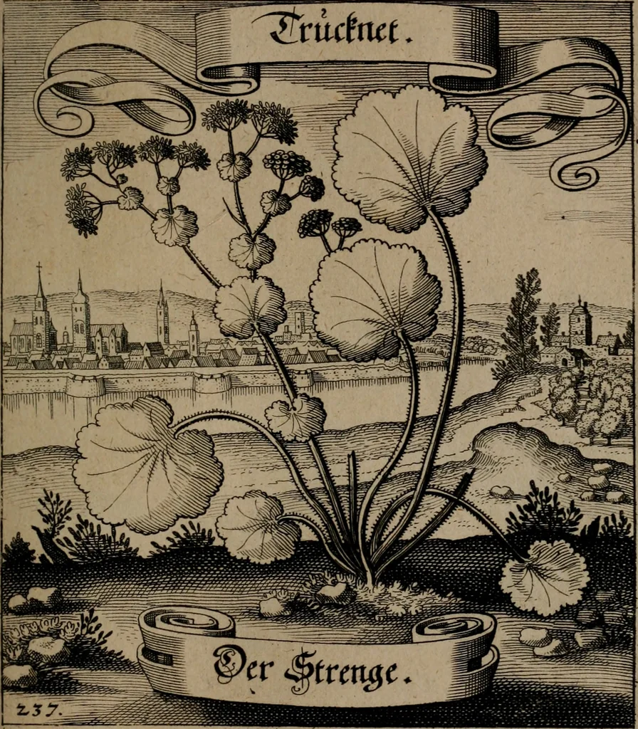 An illustration from Der Fruchtbringenden Geselschaft Nahmen, Vorhaben, Gemählde und Wörter : nach jedes Einnahme ordentlich in Kupfer gestochen, und in achtzeilige Reimgesetze verfasset, 1646, leaf 492