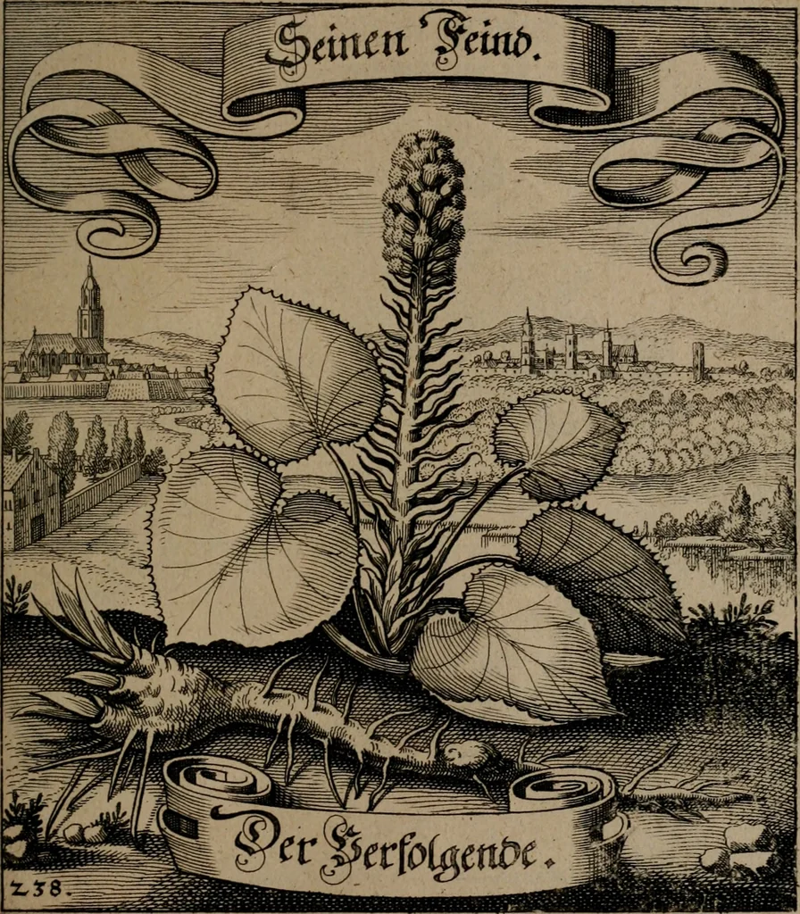 An illustration from Der Fruchtbringenden Geselschaft Nahmen, Vorhaben, Gemählde und Wörter : nach jedes Einnahme ordentlich in Kupfer gestochen, und in achtzeilige Reimgesetze verfasset, 1646, leaf 494