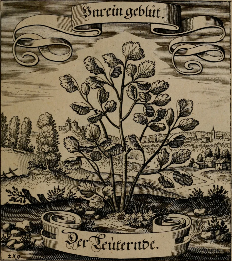 An illustration from Der Fruchtbringenden Geselschaft Nahmen, Vorhaben, Gemählde und Wörter : nach jedes Einnahme ordentlich in Kupfer gestochen, und in achtzeilige Reimgesetze verfasset, 1646, leaf 496