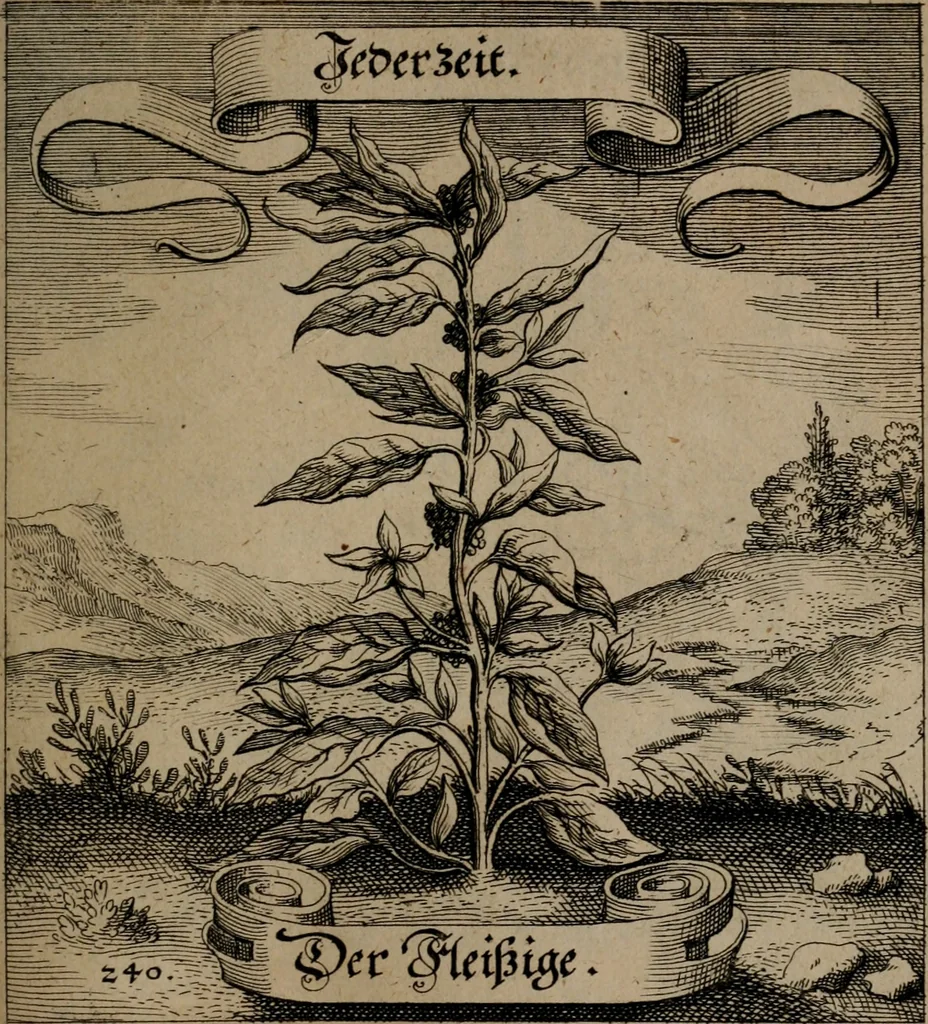 An illustration from Der Fruchtbringenden Geselschaft Nahmen, Vorhaben, Gemählde und Wörter : nach jedes Einnahme ordentlich in Kupfer gestochen, und in achtzeilige Reimgesetze verfasset, 1646, leaf 498