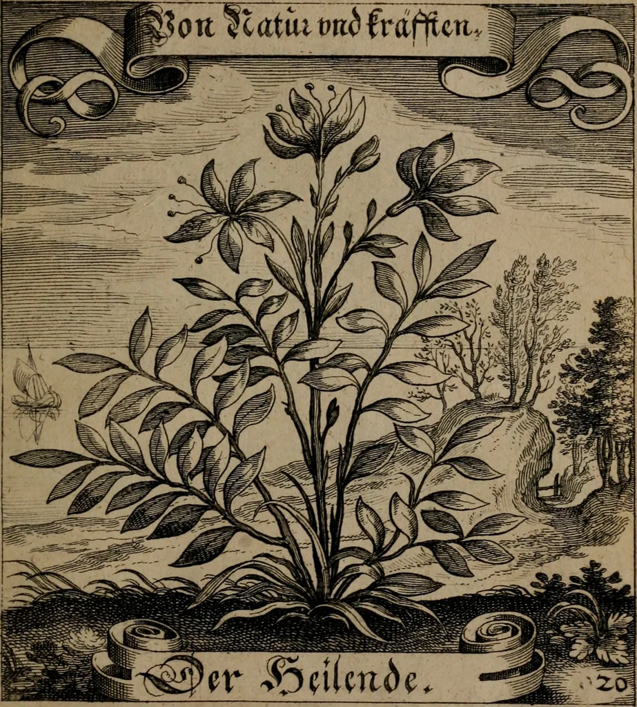 An illustration from Der Fruchtbringenden Geselschaft Nahmen, Vorhaben, Gemählde und Wörter : nach jedes Einnahme ordentlich in Kupfer gestochen, und in achtzeilige Reimgesetze verfasset, 1646, leaf 50