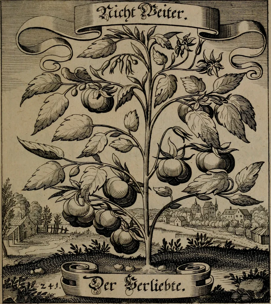 An illustration from Der Fruchtbringenden Geselschaft Nahmen, Vorhaben, Gemählde und Wörter : nach jedes Einnahme ordentlich in Kupfer gestochen, und in achtzeilige Reimgesetze verfasset, 1646, leaf 500