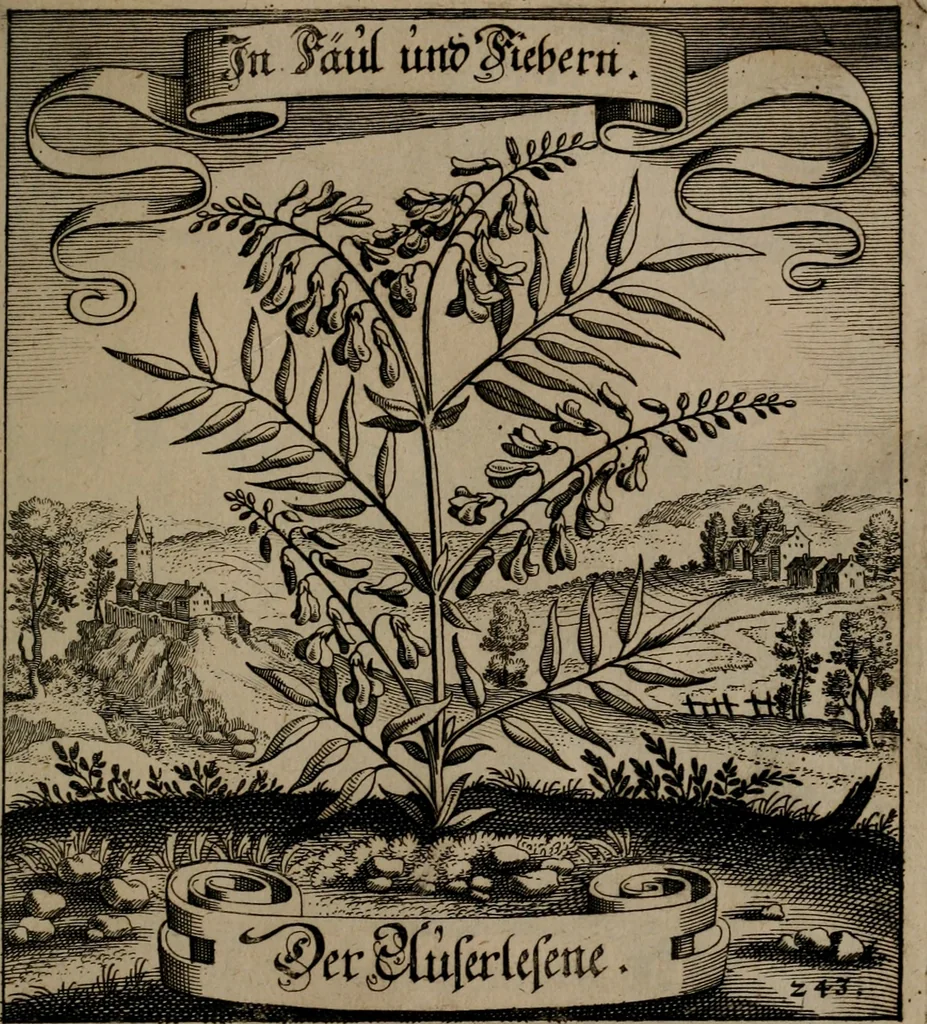 An illustration from Der Fruchtbringenden Geselschaft Nahmen, Vorhaben, Gemählde und Wörter : nach jedes Einnahme ordentlich in Kupfer gestochen, und in achtzeilige Reimgesetze verfasset, 1646, leaf 504