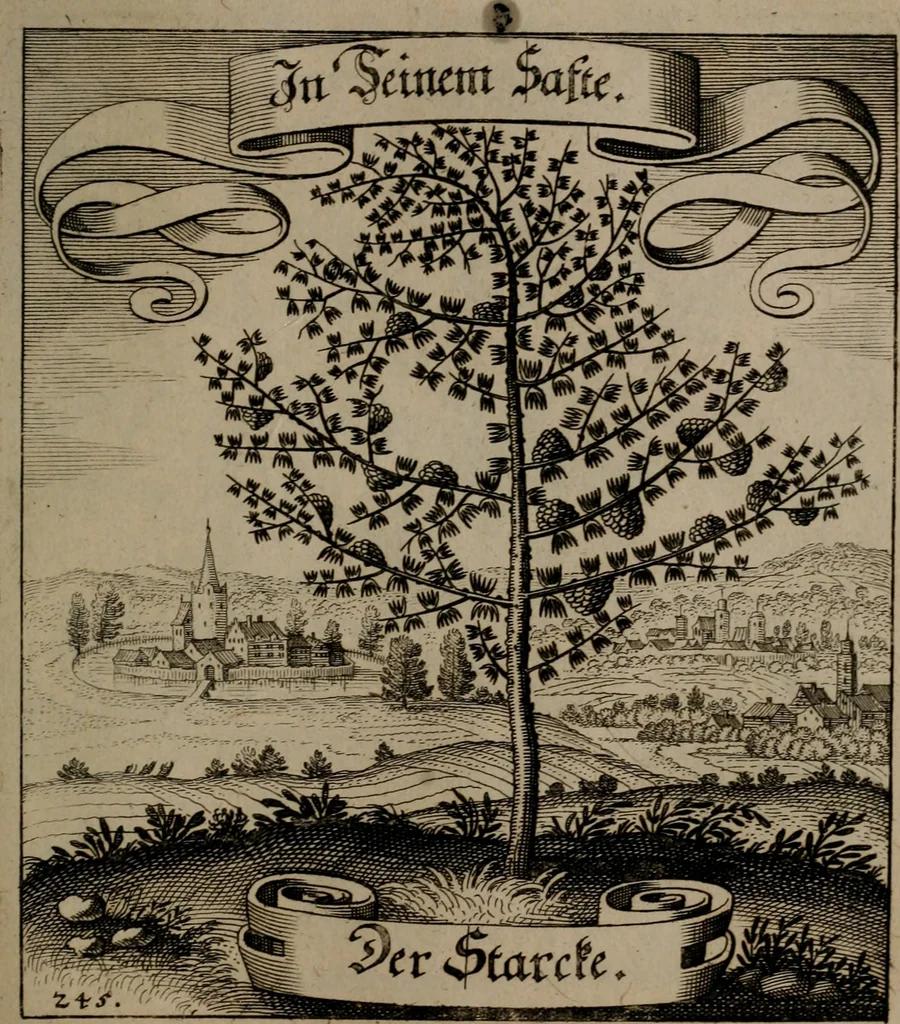 An illustration from Der Fruchtbringenden Geselschaft Nahmen, Vorhaben, Gemählde und Wörter : nach jedes Einnahme ordentlich in Kupfer gestochen, und in achtzeilige Reimgesetze verfasset, 1646, leaf 508
